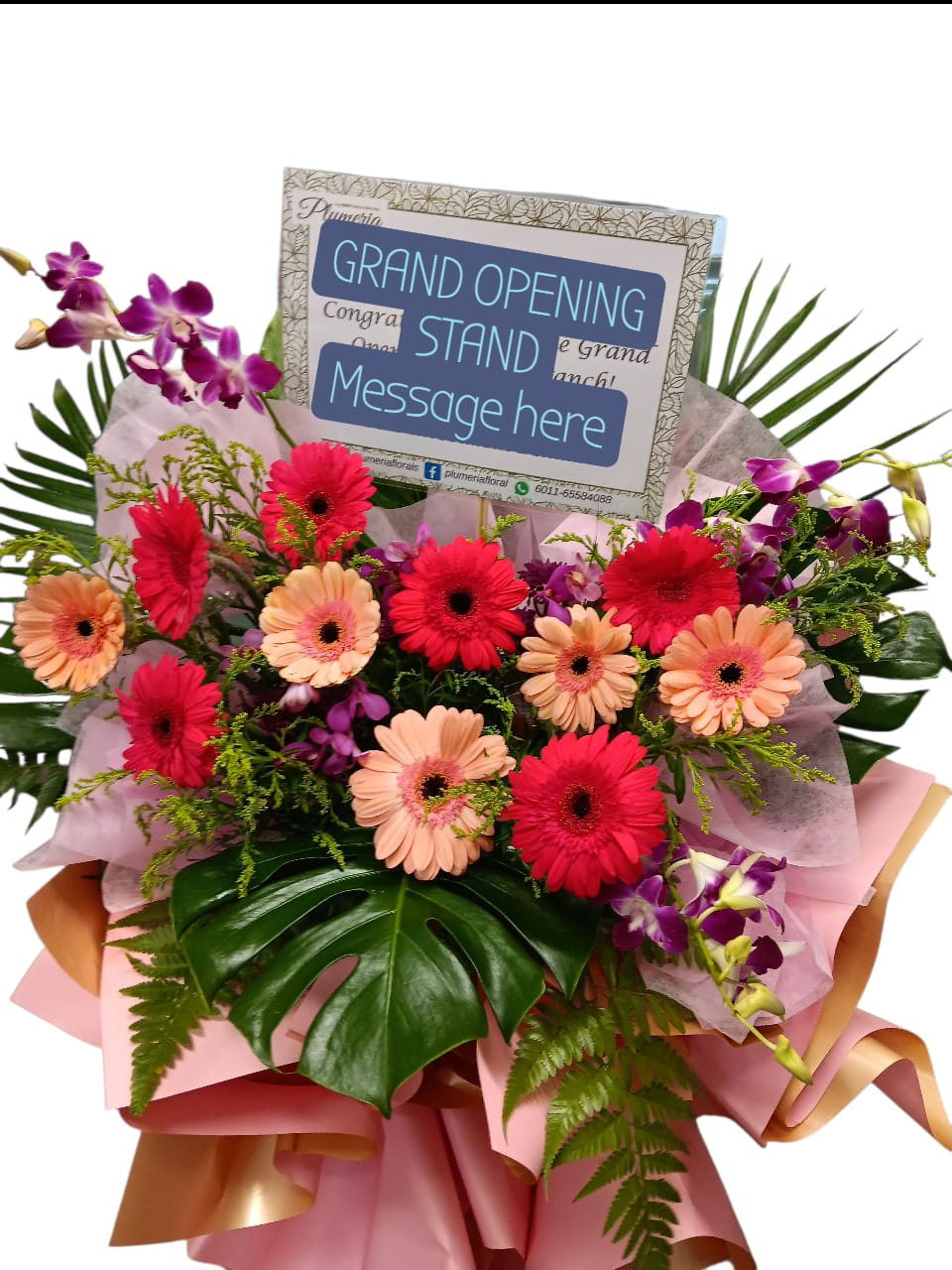 Good luck (Pre-Order 2 days)